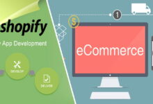 Shopify Developer