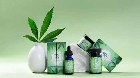 Affordable Wholesale Custom CBD Boxes for Your Business