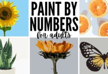 paint by numbers