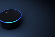 voice-controlled home devices