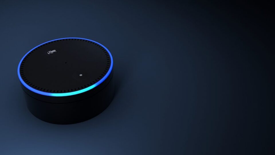 voice-controlled home devices